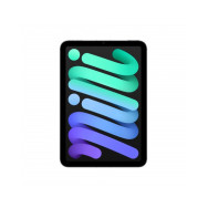 iPad mini Wi-Fi + Cellular 512GB - Grigio Siderale