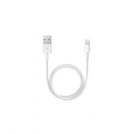 Cavo Lightning Apple USB (0,5M) - ME291ZM/A