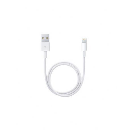Cavo Lightning Apple USB (0,5M) - ME291ZM/A