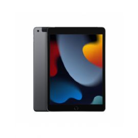 10.2-inch iPad Wi-Fi + Cellular 256GB - Grigio Siderale (9th generazione) - MK4E3TY/A